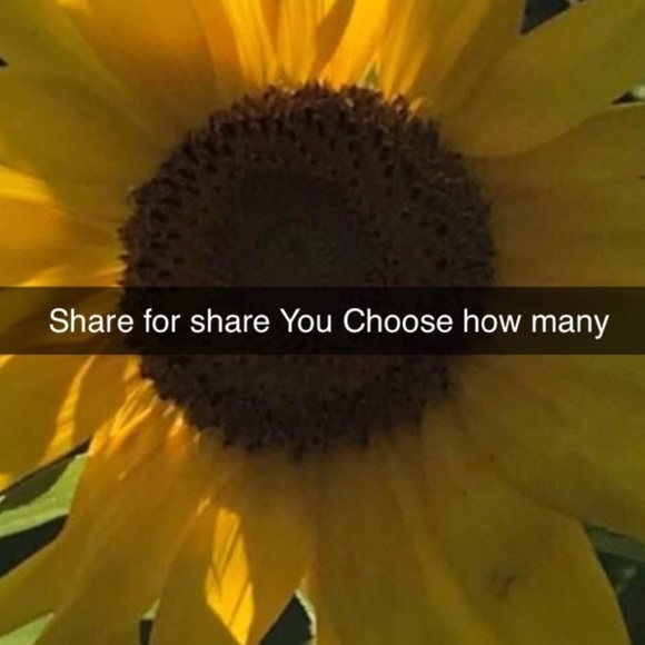 Accessories - FULL PLEASE LIKE NEW LISTING Share for Share Please comment for share backs 🌻